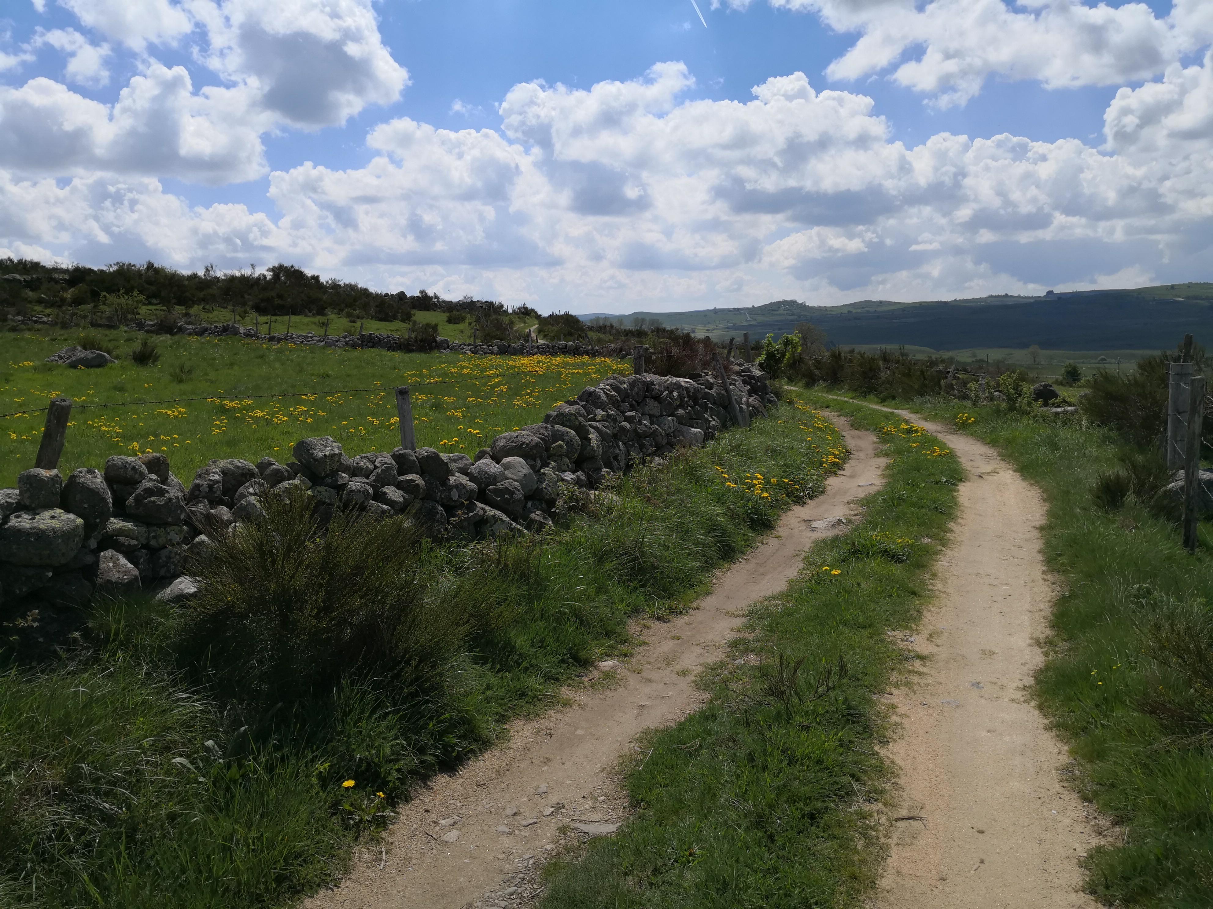 received_440101856448492